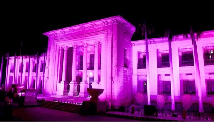 Punjab Assembly illuminated pink