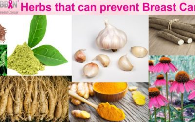 HERBS THAT CAN PREVENT BREAST CANCER