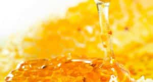 USE OF HONEY AS BREAST CANCER PREVENTION AGENT