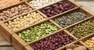 EATING NUTS AND LEGUMES CAN REDUCE THE RISK OF GETTING BREAST CANCER