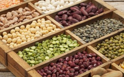 EATING NUTS AND LEGUMES CAN REDUCE THE RISK OF GETTING BREAST CANCER