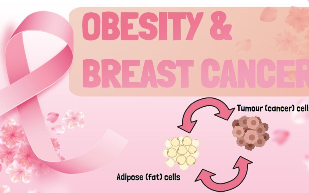 The Link Between Obesity and Breast Cancer