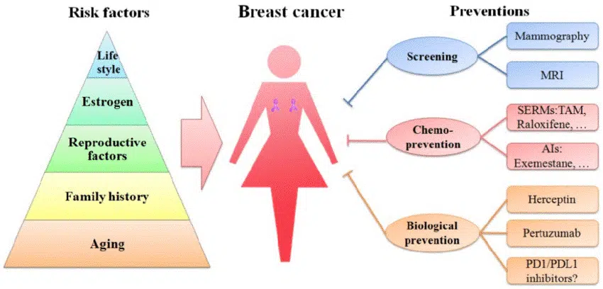 Risk Factors of Breast Cancer and Preventions