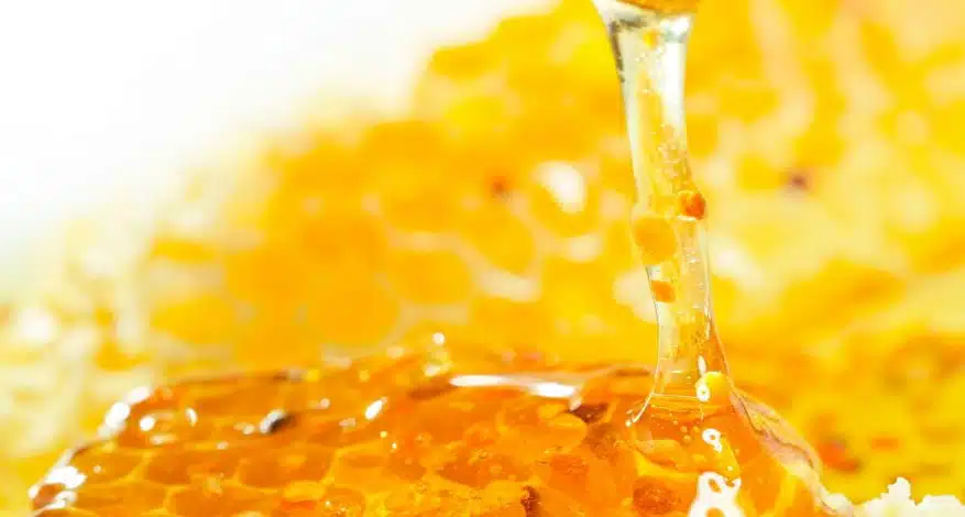 Use of Honey as Breast Cancer Prevention Agent