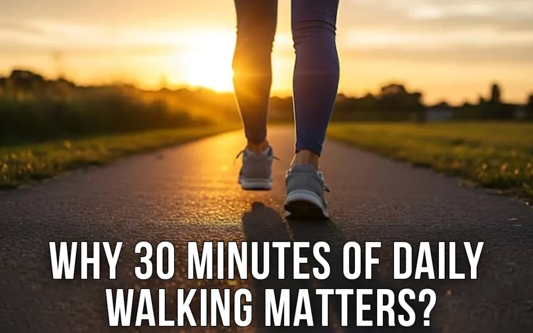 Sedentary Lifestyle and Estrogen: Why 30 Minutes of Daily Walking Matters